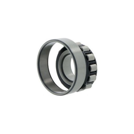 Roulement à rouleaux cylindriques N309 ECP SKF Int. 45mm Ext. 100mm Large 25mm