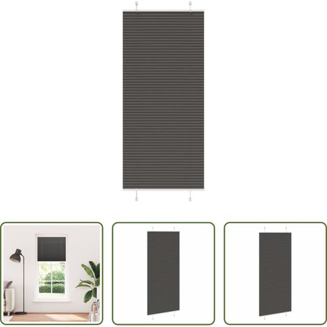 vidaXL Sichtschutz -  Plissee Schwarz 100x200 cm Stoffbreite 99,4 cm Polyester (1/5)