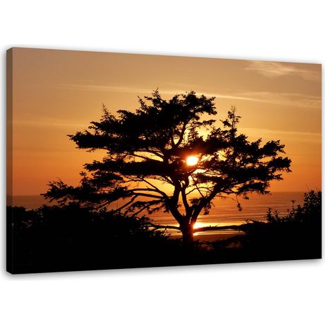 Tableau sur toile Arbre mer coucher de soleil 60x40 (1/5)