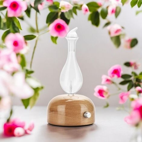 Zen'Arôme Aurora Nebulizing Essential Oil Diffuser - Cold Diffuse - Ideal for Aromatherapy - Powerful (1/5)
