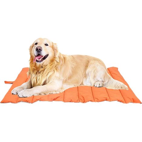 Lit de camping pour chien - Double face - Couverture de (1/5)