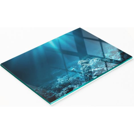 Dekoratives Schneidebrett aus gehärtetem Glas, Motiv: Unterwasserwelt, 80 x 52 cm (1/5)