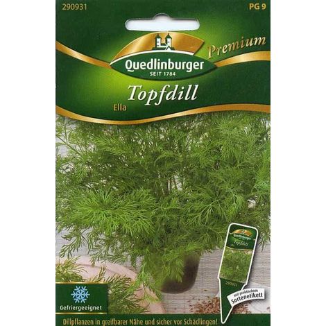 Quedlinburger Topfdill Ella - Premium Kräutersamen (1/2)