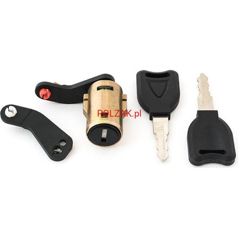 Inserto serratura porta Renault Kerax Midlum Premium 1996-2013 DAF LF45, LF55 2001-2013 (1/3)