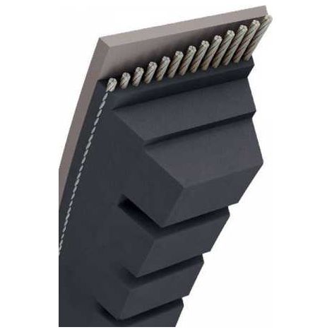 Courroie tondeuse AX53 trapézoïdale crantée  13 x 1400 mm (1/5)