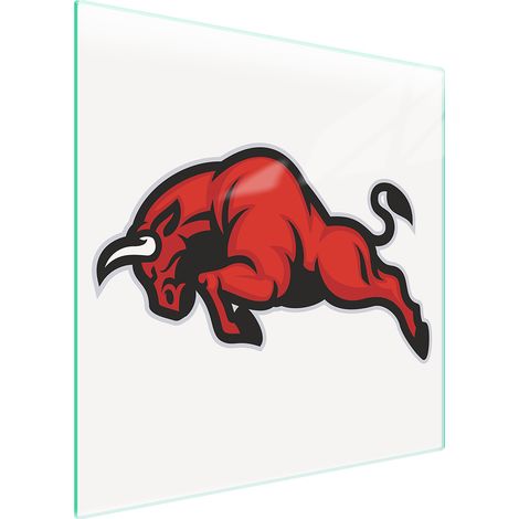 GLASSCHUTZPLATTE FÜR HERD 50x52 BYK (1/5)