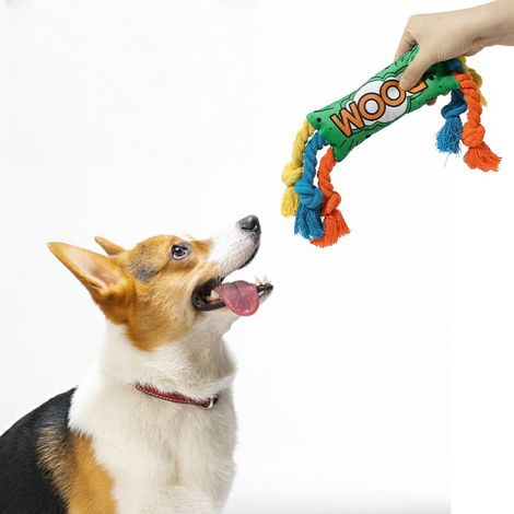 Jouet interactif pour chien - Corde avec couineur - Convient à tous les chiens - Soins dentaires et éducation - Réduction du stress - Coloré et résistant - 1 pièce