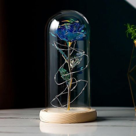 Eine Ewige Rose aus Die Schöne und das Biest unter einer Glaskuppel, beleuchtet von blauem LED-Licht. (1/5)