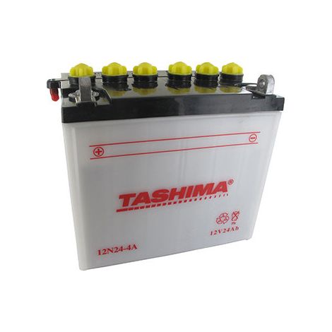 Batterie Blei Tashima 12V, 24A L: 184, B: 124, H: 175 mm, + links Für Rasentraktor. (Geliefert mit getrenntem Säure). - Batt