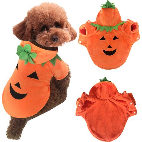 Chien chat Halloween Pumpkin costume PET cosplay, chiot chaud Hoodie (s) (1/5)