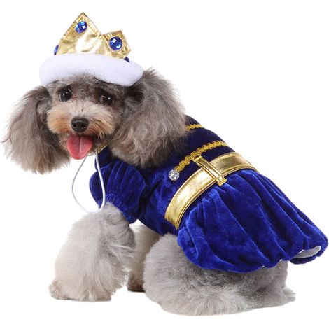 1 Ensemble costume Halloween pour chien et chat, robe bleue motif chauve-souris avec nœud, taille S à XL pour fête et photo (1/5)