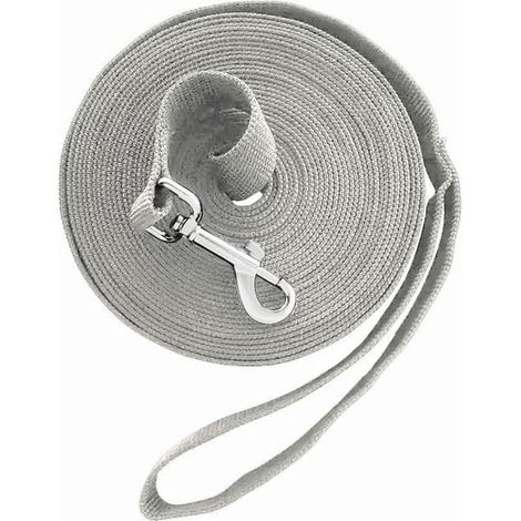 Laisse de dressage pour chien de 6 m pour une utilisation en extérieur - Laisse de rappel longue pour le dressage à l'obéissance - Grise (1/5)