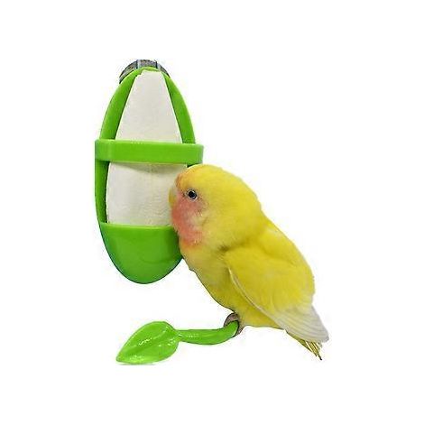 Perche De Support D'oiseau, Perroquet Squelette De Seiche Bton De Support D'oiseau, Patte De Broyage Escalade Accessoires Debout Perche De Branche D'o (1/5)