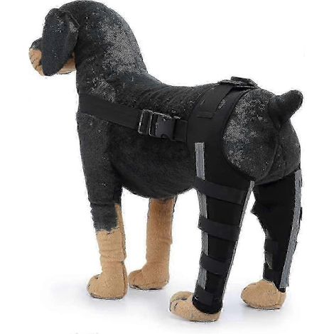 Soutien de patte arrière pour chien - Stabilité renforcée et confort optimal pour animaux de compagnie (1/5)