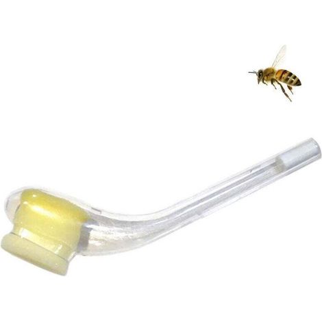 UlisemOutil de piégeage de reine des abeilles, outil d'apiculture