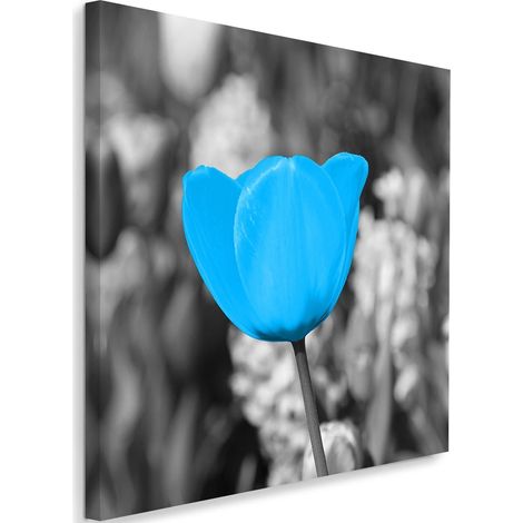 Tableau sur toile Fleurs de tulipes Bleu 40x40 (1/5)