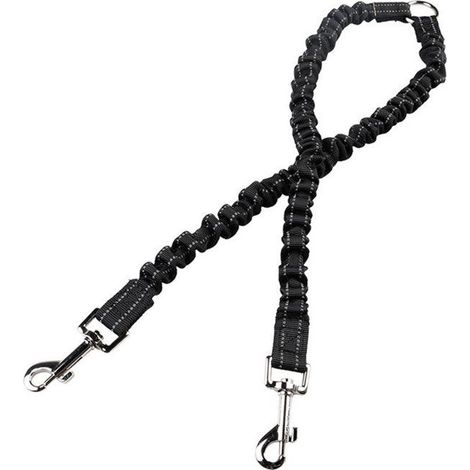 Hundeleine für 2 Hunde, doppelte elastische Trainingsleine (1/4)