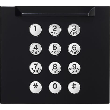 Façade finition noire satinée pour module claiver d'appel GT10K 200437 - AIPHONE GF10KPB
