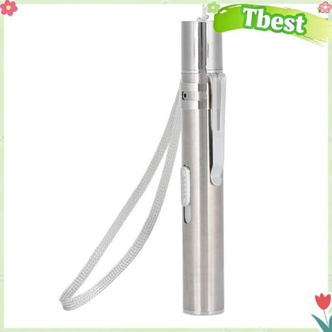 Tbest Teaser pour chat Stylo pointeur pour chat, lumière rouge/UV, Rechargeable par USB, en acier inoxydable, animalerie jouet (1/5)