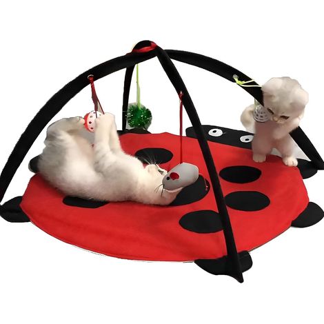 Jouet multifonctionnel pour animaux de compagnie, tapis de couchage pliable et interactif en laine douce, rouge (1/5)