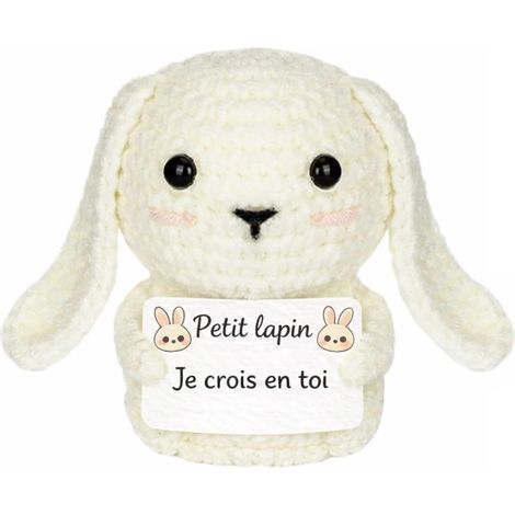 Lapin Positif Cadeau Motivation Pocket Hug, Lapin Crochet Porte Bonheur Cadeau Encouragement pour Amie Famille Collègue (1/5)