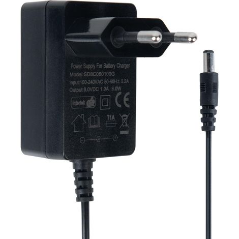 Chargeur 6V pour Jouets Ride-on, Chargeur de Batterie 6V pour Moto Électrique Ride-On pour Enfants (1/5)