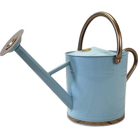 Duck Egg Blue & Copper Metal Watering Can with Rose (9 Litre) (1/5)