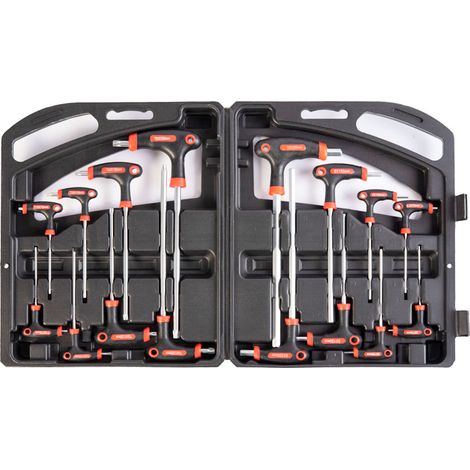Set di chiavini esagonali e torx da 16 pz in acciaio vanadio con custodia rigida (1/5)