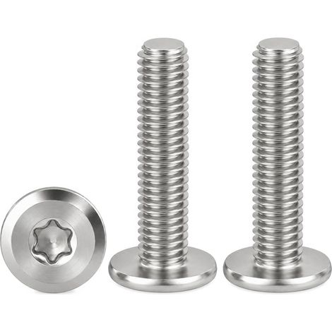 20 Pièces Vis à Tête Plate Inox M6x25mm Torx Vis Mécaniques (1/5)