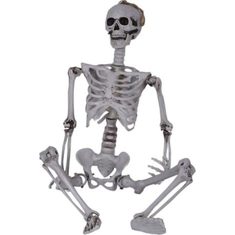 Squelette Humain - Décor Halloween Posable - Squelette en Plastique avec Articulations Réglables - Décoration Intérieure Extérieure - 1 Pièce