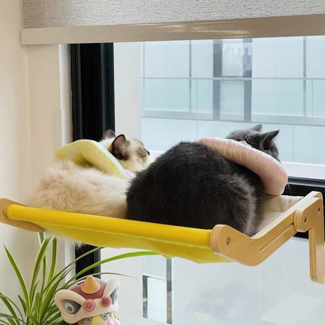 Hamac pour chat avec perchoir de fenêtre, lit pour chat facile à assembler, jusqu'à 18 kg (jaune/gris) (1/4)