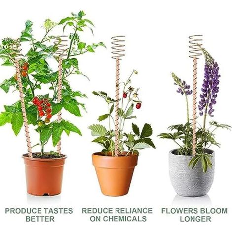 10 Piquets de Plantes D'Électroculture de 13,5 Pouces, Longs Piquets en Cuivre, Antennes à Bobine de Cuivre D'Électroculture pour (1/4)