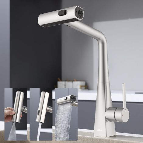 Robinet de douche de cuisine (1/5)