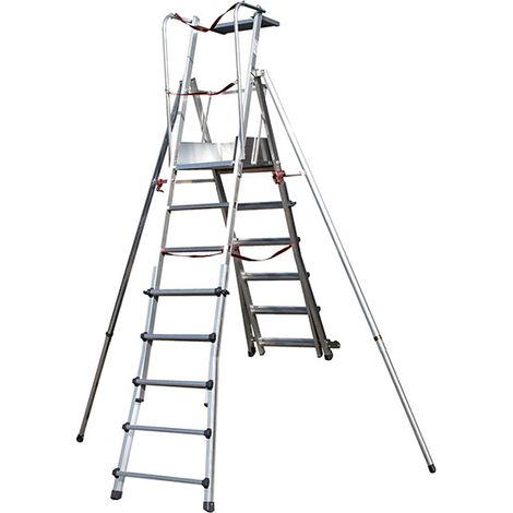 Scaletta telescopica 4 a 6 gradini - Altezza max di lavoro 4m - SCA1980/06 (1/4)