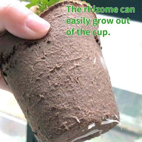 Pot Semis Biodegradable - 8 cm - Ronde - Pour Semis et Boutures - 100 Pièces (1/5)