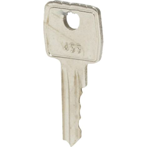 BACO 455 100953 Ersatzschlüssel 2 St. (1/2)