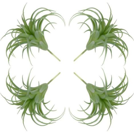 Plantes Aériennes Artificielles - Tillandsia Fausse - Décoration Intérieure Bureau Maison Événement - 4 Pièces (1/5)