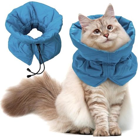 Colliers pour chats - Colliers de rééducation pour chats - Colliers de rééducation réglables pour chats - Conviennent aux chatons, aux chats adultes et aux petits chiens (1/5)