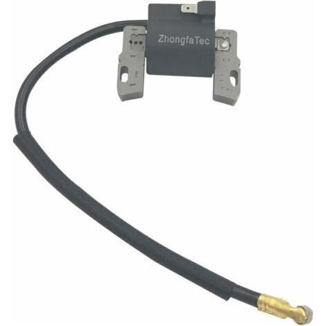 Bobine d'allumage Briggs & Stratton, convient pour 492341, 490586, 491312, 495859, 715231, 591459- (1/4)