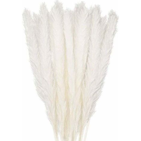 30 pcs Herbe de la Pampa, 58 cm Naturel Pampa Fleur Bouquet de Fleurs Sechees pour Vases, Blanc Boho Decoration Chambre Maison Sal (1/4)