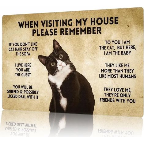 Art Vintage de Chat en Smoking 20x30 cm, Posters Métalliques de Décoration de Chambre Mignonne, Art Mural de Décoration de Maison, Plaque de Règles de Chambre, Cadeau pour Amateurs de Chats (1/5)