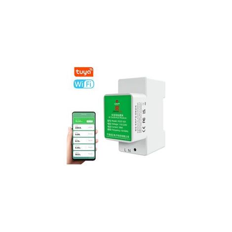 Tuya WiFi compteur intelligent tension de type rail monophasé et ampèremètre application de téléphone portable connexion Bluetooth prend en charge le double système Android iOS (1/5)