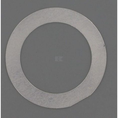 Rondella MTD 7360693