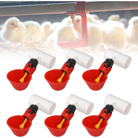 Abreuvoirs automatiques pour poules, pigeons et cailles  abreuvoirs rouges pour matériel d'élevage de volailles. (1/5)