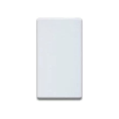 TAPPO COPRIFORO  RAL S45 COLORE BIANCO RAL7035 1 MODULO AVE 45513
