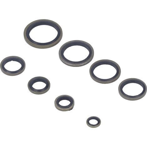 Gummi-Metall-Dichtungsscheibe M6 M8 M10 M12 M14 M16 M18 M20, Packung mit 110 Flachscheiben mit Stahleinsatz, auslaufsichere Scheibe für Schrauben und Muttern, für Industrie und Automobilbereich (1/5)