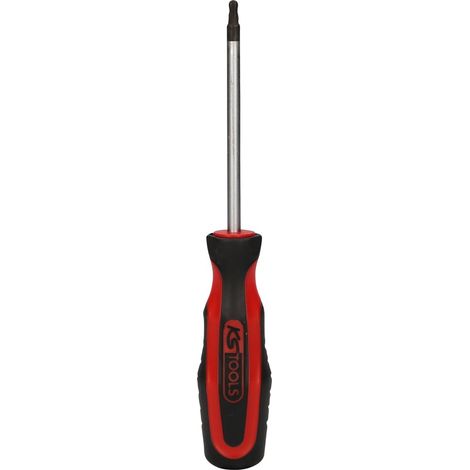 ERGOTORQUEplus Schraubendreher Torx mit Kugelkopf, T25 (1/5)