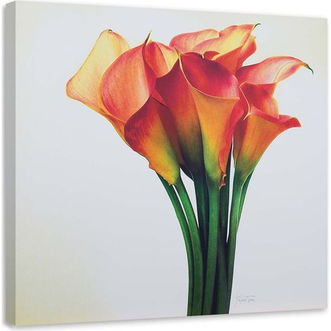 Tableau sur toile Callas Fleur rouge 40x40 (1/5)
