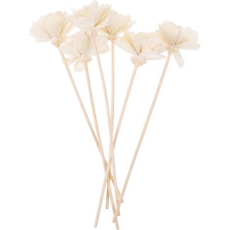 Diffuseur Parfum Maison 6 Bâtonnets de Fleurs Séchées en Rotin Forme Fleur pour Chambre et Salle de Bain, Libération de Parfum et Air Frais (1/5)
