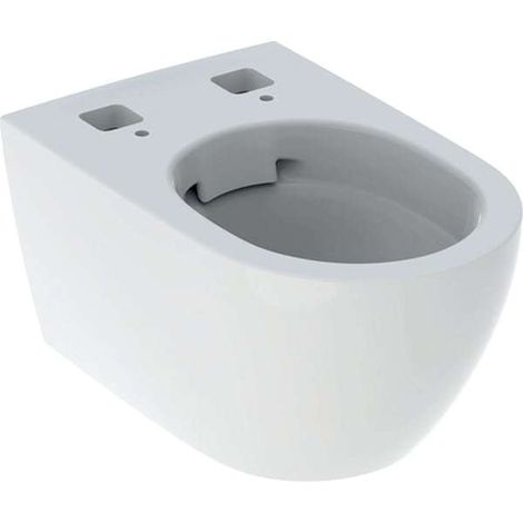 WC-Keramik weiss für AqC Tuma 243308 (1/5)